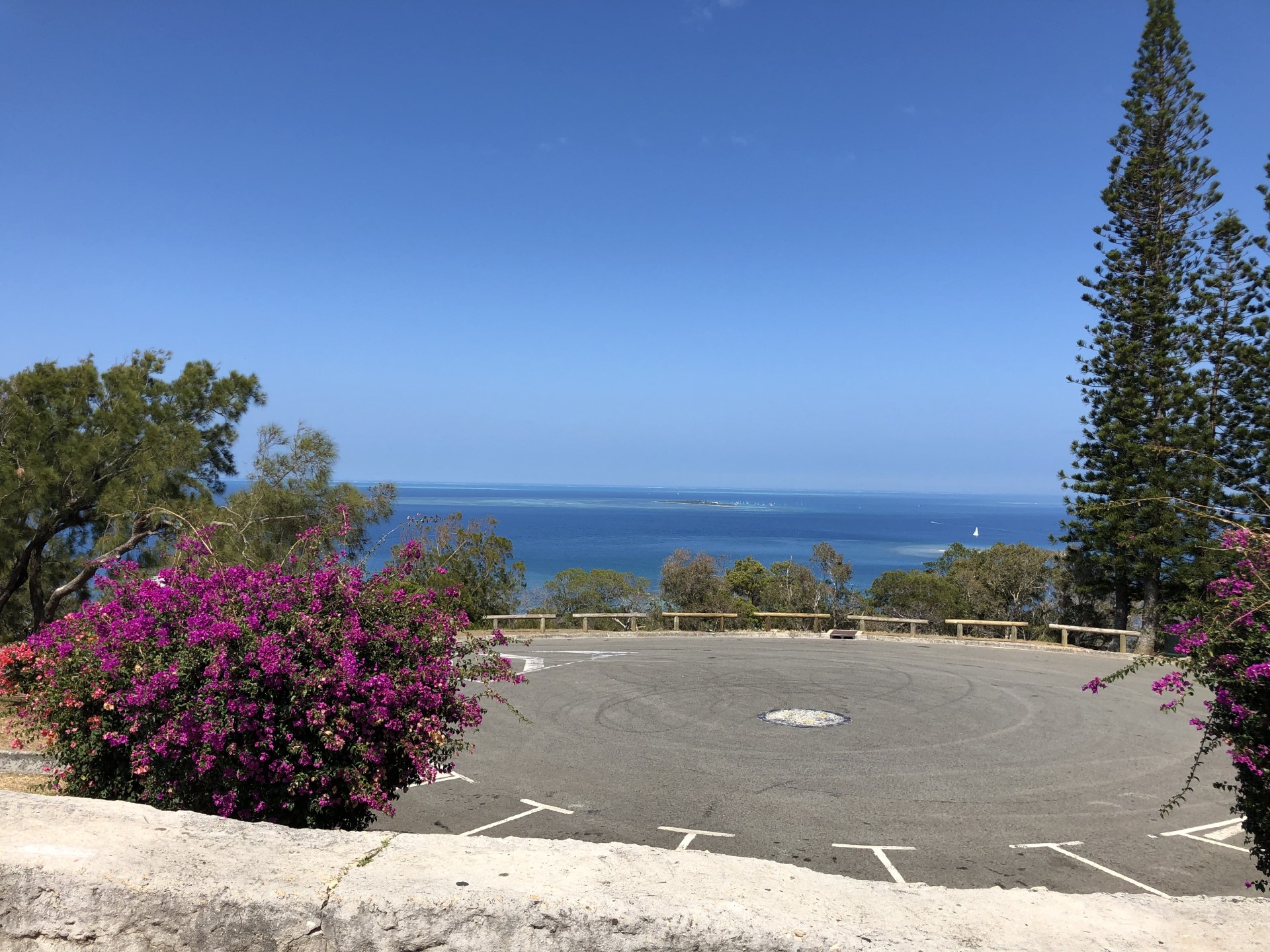 海が見える高台からお届け